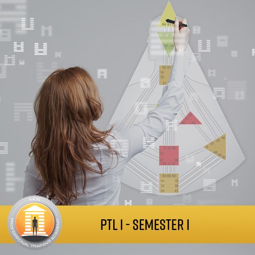 Professional Training Level I Analyst Program - Semester 1