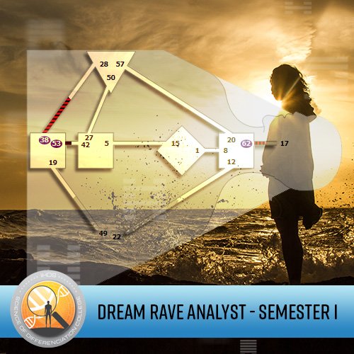 DreamRave Analyst Certification - Semester 1