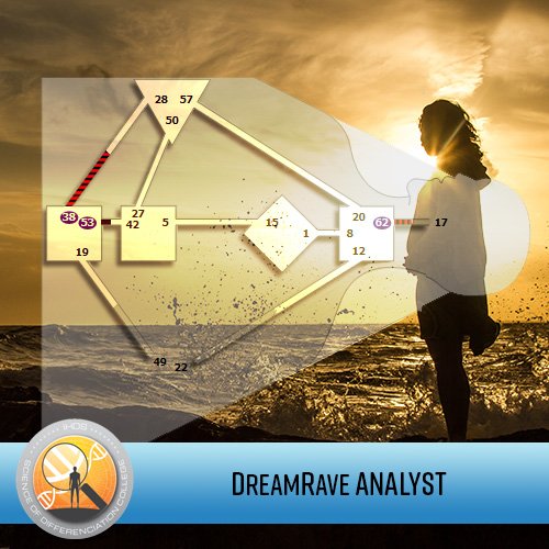 DreamRave Analyst Certification Program