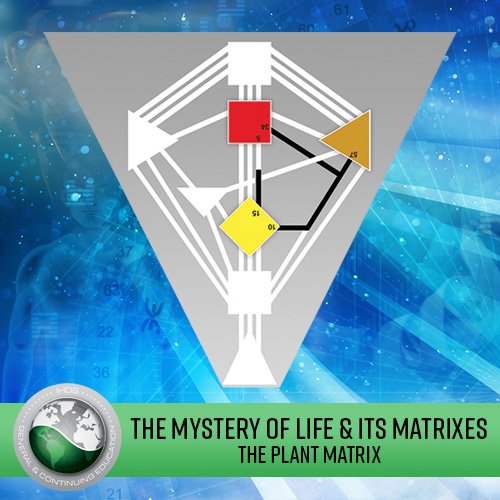 The Mystery of Life & its Matrixes: Lecture Series - The Plant Matrix