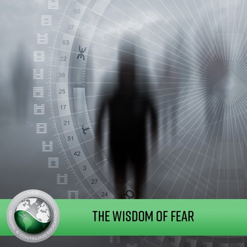 The Wisdom of Fear - Embracing the Elephant in the Room